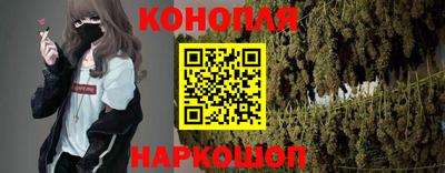 прущие грибы Новокубанск
