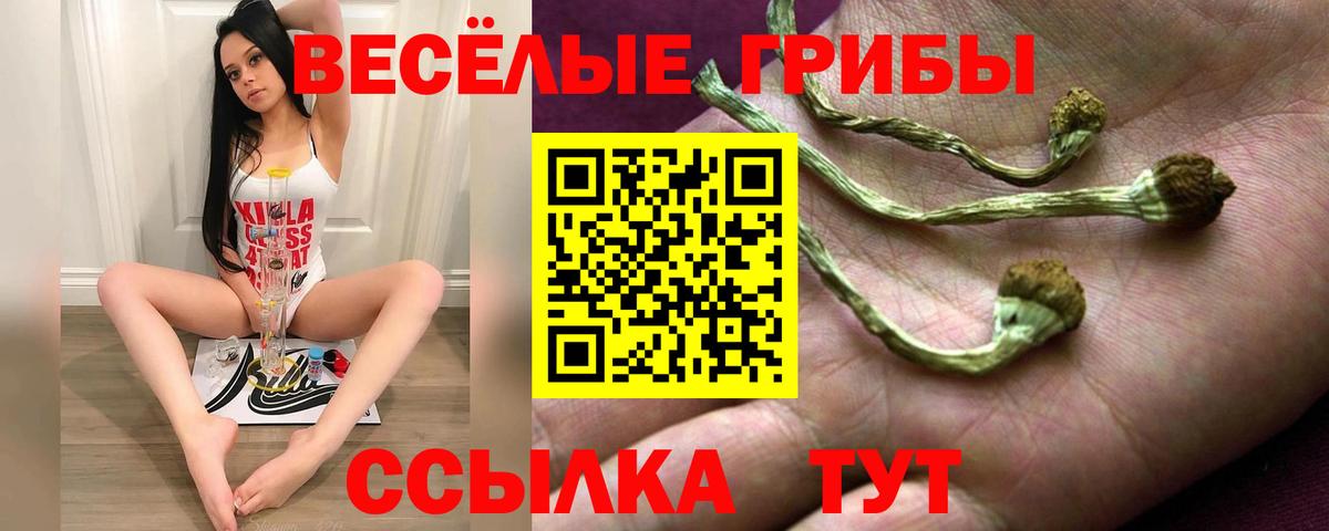 Галлюциногенные грибы GOLDEN TEACHER Саранск