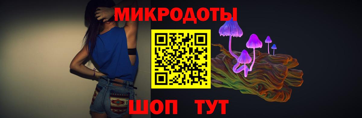 Галлюциногенные грибы Magic Shrooms  Вход с VPN  Саранск  где продают наркотики  Псилоцибиновые грибы мухоморы 