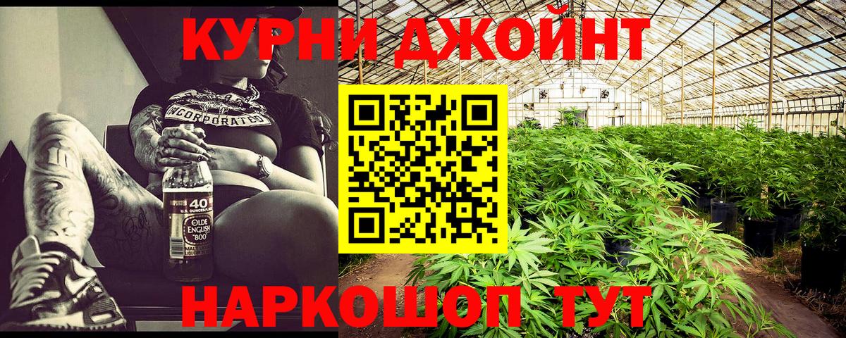 Канабис сатива Саранск